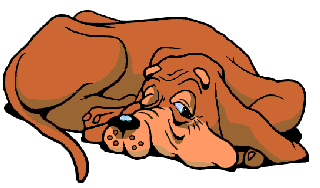 perro-de-san-huberto-imagen-animada-0001