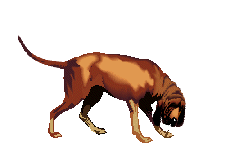 perro-de-san-huberto-imagen-animada-0008