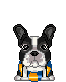 boston-terrier-imagen-animada-0012
