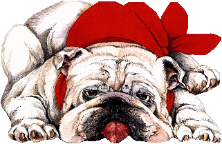 bulldog-imagen-animada-0018