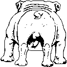 bulldog-imagen-animada-0044