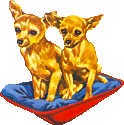 chihuahua-imagen-animada-0008