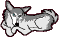 huskie-imagen-animada-0008