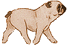 pug-y-carlino-imagen-animada-0005