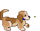 cachorro-imagen-animada-0005