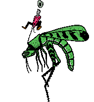 saltamontes-imagen-animada-0003