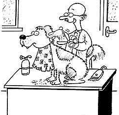 peluquero-canino-imagen-animada-0007
