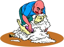 esquileo-de-ovejas-imagen-animada-0004