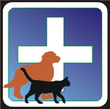 veterinario-imagen-animada-0008