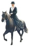 montar-a-caballo-y-equitacion-imagen-animada-0006