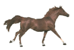 montar-a-caballo-y-equitacion-imagen-animada-0009