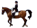 montar-a-caballo-y-equitacion-imagen-animada-0014