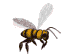 abeja-imagen-animada-0026