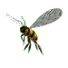 abeja-imagen-animada-0128