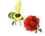 abeja-imagen-animada-0161