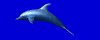 delfin-imagen-animada-0009