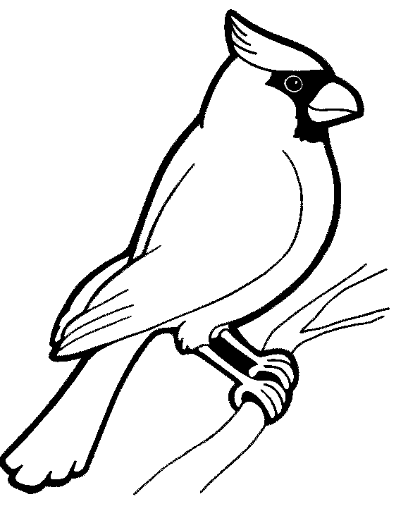 dibujo-para-colorear-pajaro-imagen-animada-0007