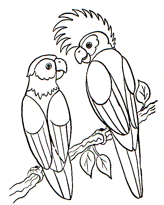 dibujo-para-colorear-pajaro-imagen-animada-0008