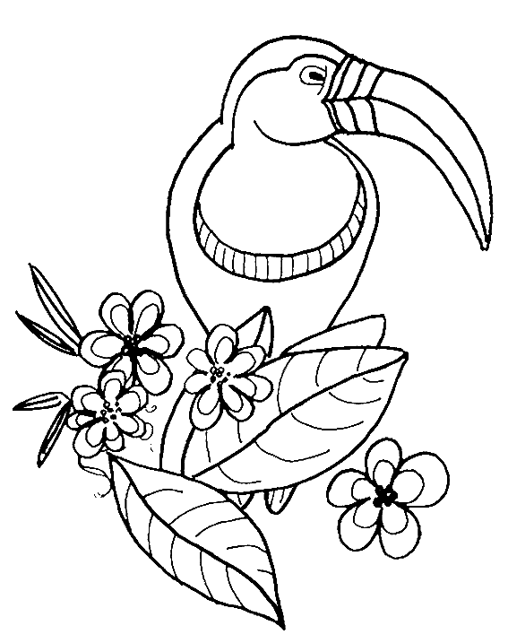 dibujo-para-colorear-pajaro-imagen-animada-0021