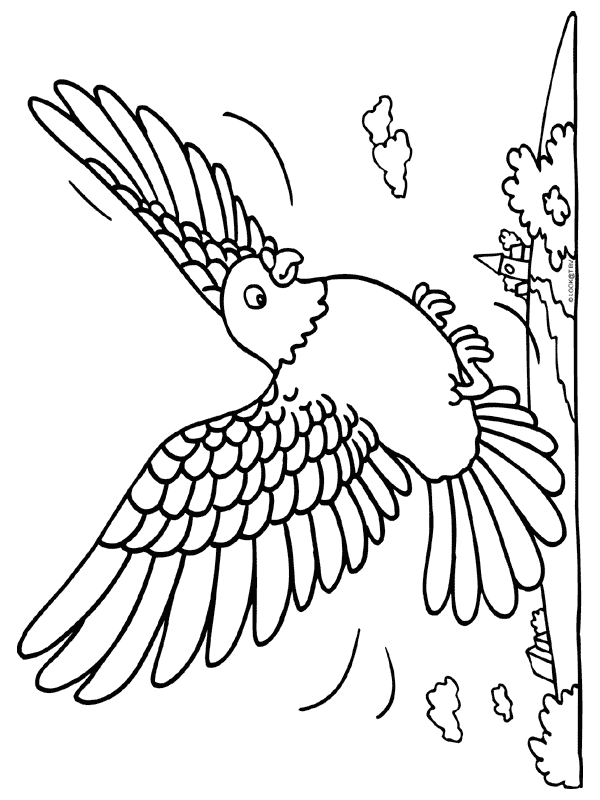 dibujo-para-colorear-pajaro-imagen-animada-0039