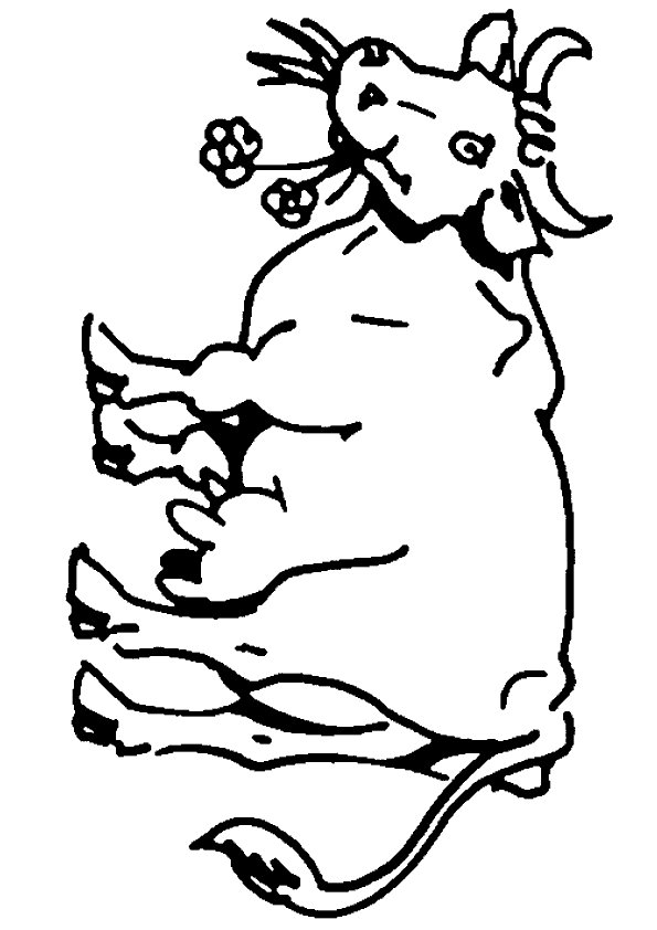 dibujo-para-colorear-vacas-imagen-animada-0032