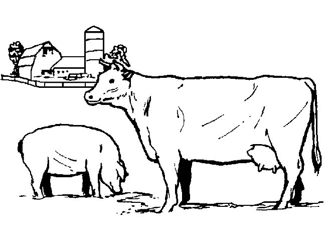 dibujo-para-colorear-vacas-imagen-animada-0039