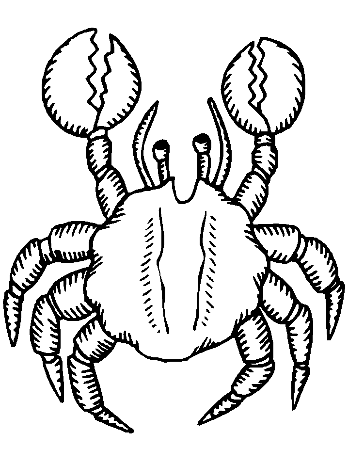 dibujo-para-colorear-cangrejos-imagen-animada-0008