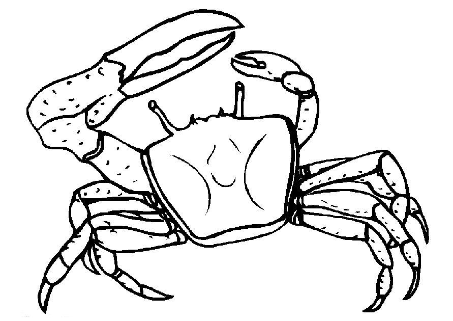 dibujo-para-colorear-cangrejos-imagen-animada-0010