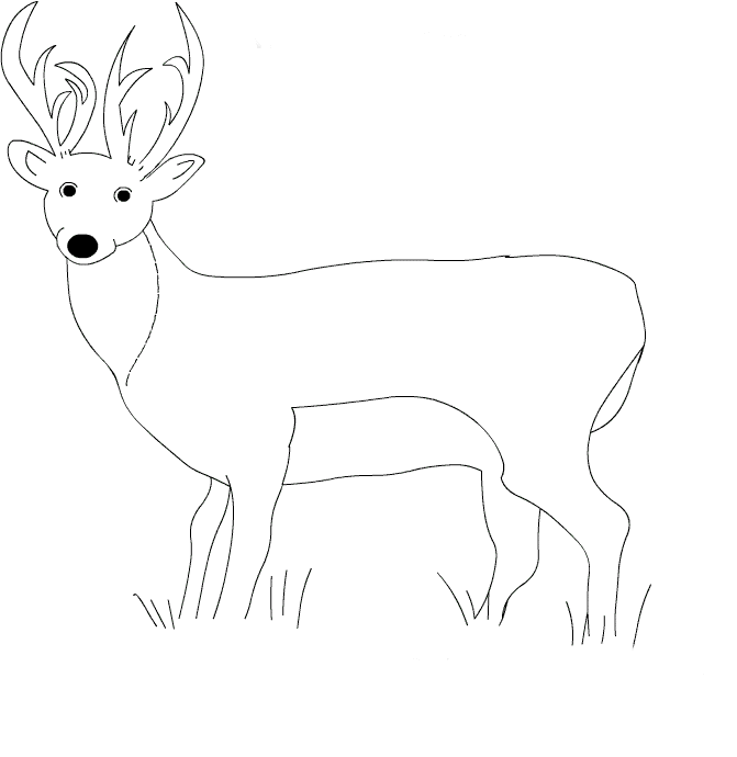dibujo-para-colorear-ciervo-imagen-animada-0008