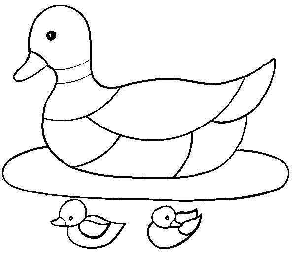 dibujo-para-colorear-pato-imagen-animada-0016