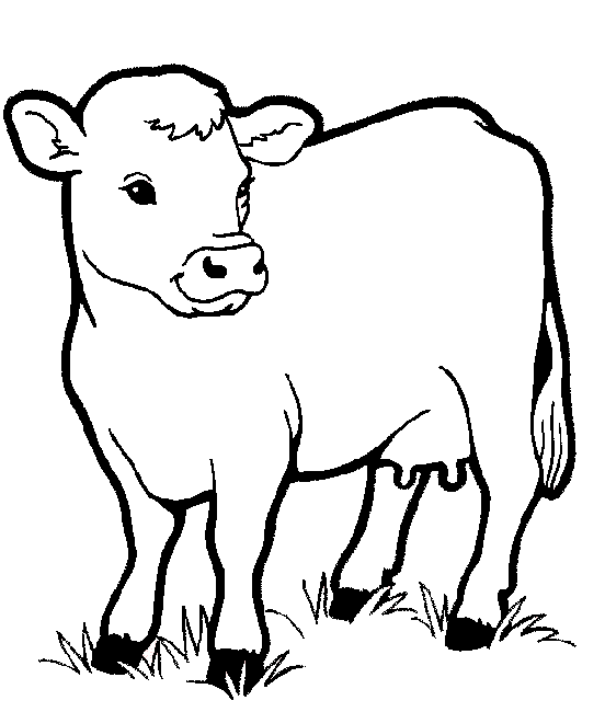 dibujo-para-colorear-animal-de-granja-imagen-animada-0003