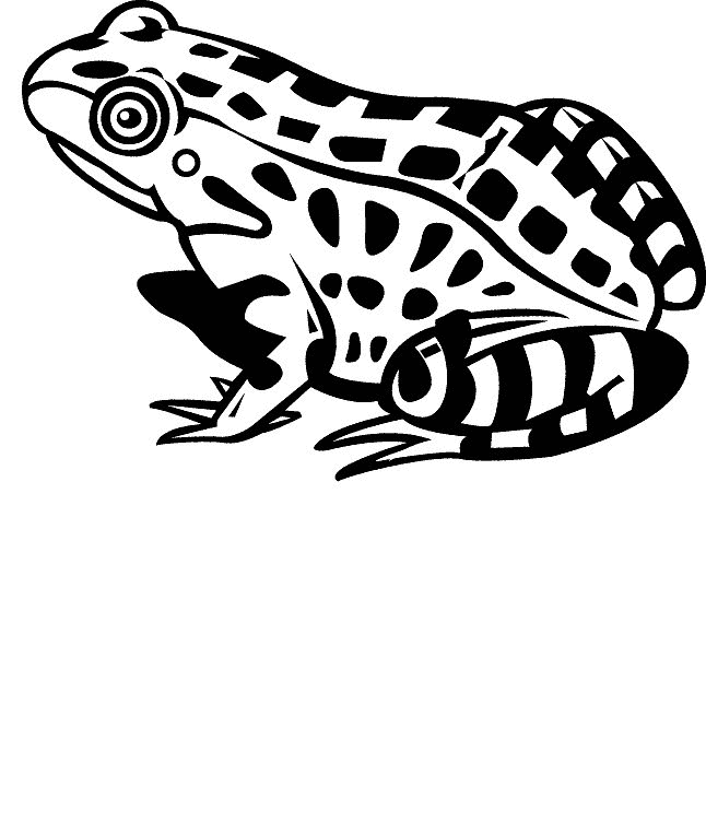 ▷ Dibujos para Colorear Ranas y Sapos: Imágenes Animadas, Gifs y Animaciones ¡100% GRATIS! ▷ Dibujos para Colorear Ranas y Sapos: Imágenes Animadas, Gifs y Animaciones ¡100% GRATIS!