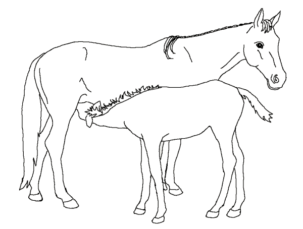 dibujo-para-colorear-caballo-imagen-animada-0028