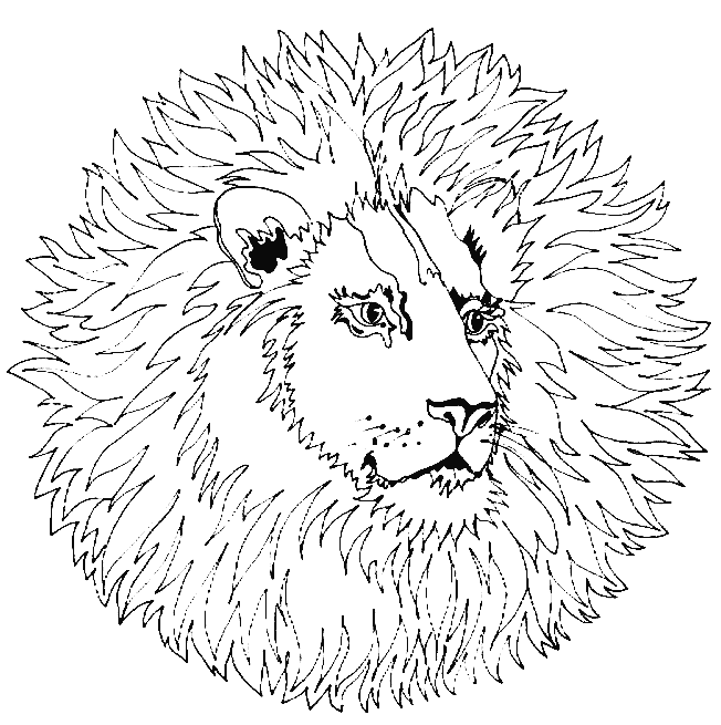 dibujo-para-colorear-mandala-imagen-animada-0082