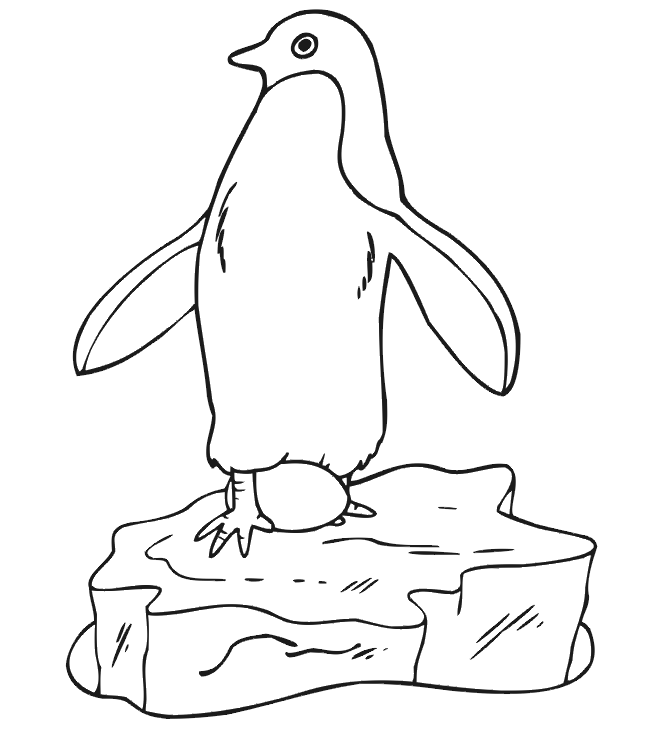 dibujo-para-colorear-pinguino-imagen-animada-0015