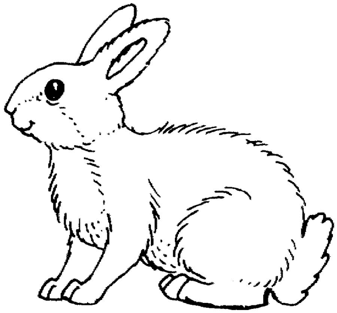 dibujo-para-colorear-conejo-imagen-animada-0007
