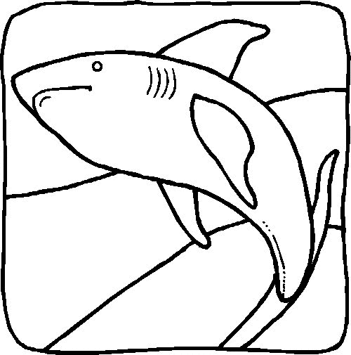 dibujo-para-colorear-animal-marino-imagen-animada-0015