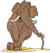 elefante-imagen-animada-0025