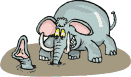 elefante-imagen-animada-0077