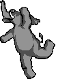 elefante-imagen-animada-0132