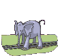 elefante-imagen-animada-0168