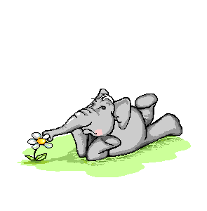 elefante-imagen-animada-0208