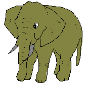 elefante-imagen-animada-0395