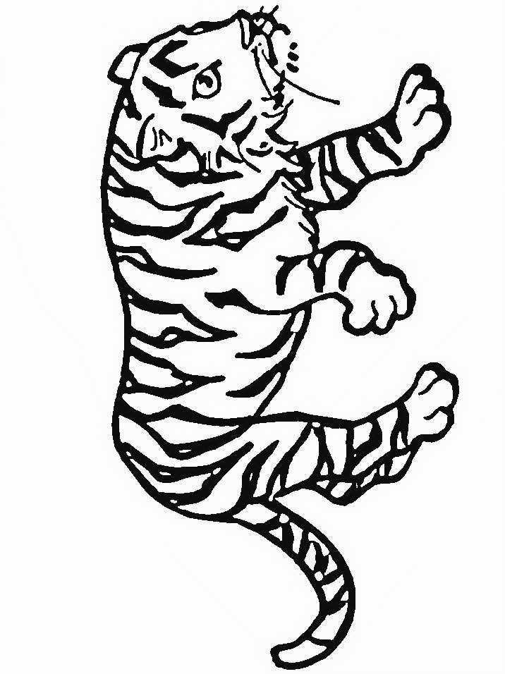Dibujos Para Colorear Tigres Imágenes Animadas Gifs Y