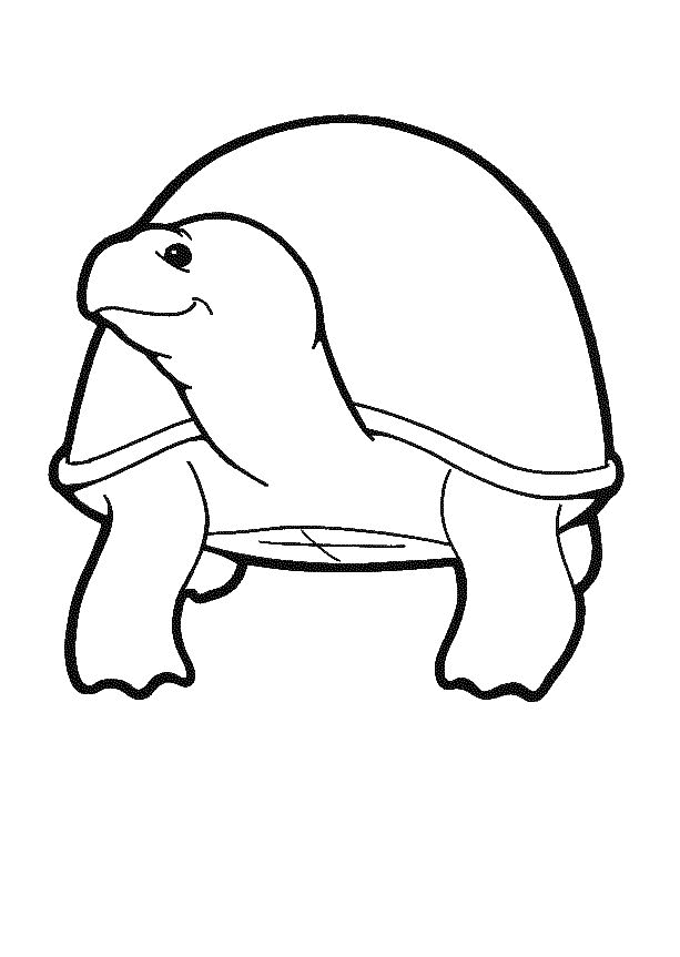 dibujo-para-colorear-tortuga-imagen-animada-0004