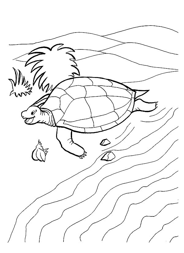 dibujo-para-colorear-tortuga-imagen-animada-0008