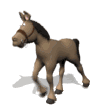 burro-y-asno-imagen-animada-0044