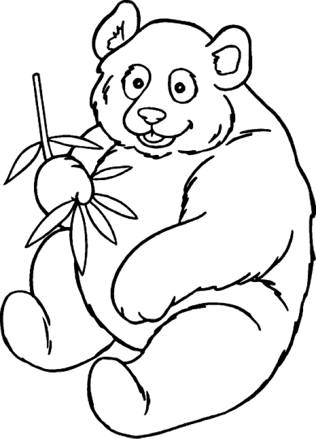 dibujo-para-colorear-oso-imagen-animada-0028