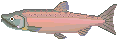 pez-y-pescado-imagen-animada-0033