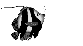 pez-y-pescado-imagen-animada-0043